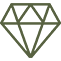 premium icon